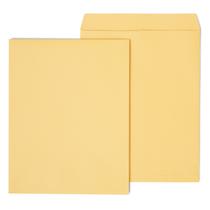 Catálogo: envelopes, Staples 195776, Brown Kraft, 14x18cm, 25/pacote