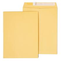 Catálogo Envelopes Staples 479888 Easyclose 23cm x 30cm Marrom