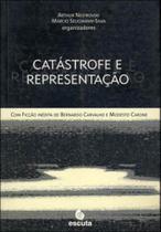 Catástrofe e representação