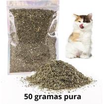 Catnip 50 Gramas Erva Para Gatos Natural Relaxante