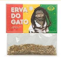 Catnip Cansei De Ser Gato 2 G