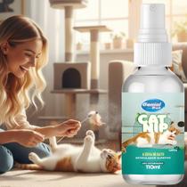 Catnip Erva Gato Atrativo Natural Relaxante 120ml Original Catnip Erva Gato Atrativo Natural Relaxante 120ml Original