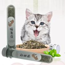 Catnip Erva Natural Relaxante Cheirosa Para Gatos 1 Tubo com 5g Catnip Erva Natural Relaxante Cheirosa Para Gatos 1 Tubo com 5g