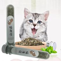 Catnip Erva Natural Relaxante Cheirosa Para Gatos 1 Tubo com 5g