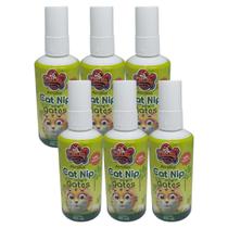 Catnip Líquido Para Gatos Atrativo 100ml 6 Unidades