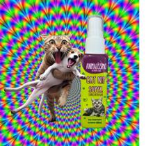 Catnip Liquido Spray Atrativo Super Concentrado Gatos 60ml