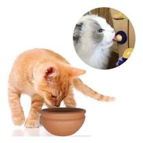 Catnip Para Gato Gatita Com Cumbuca Para Ração Água Kit