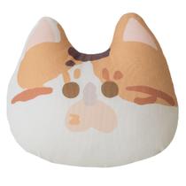 Catnip Toy Gororong Interactive recarregável resistente a mordidas