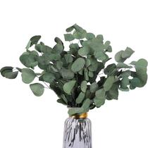 Caules de eucalipto preservados HIAGROW Real 20PCS verdes