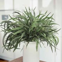 Caules de eucalipto secos HIAGROW 20 unidades de 43 cm para decoração