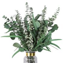 Caules de eucalipto secos HIAGROW Mixed 15 unidades para decoração