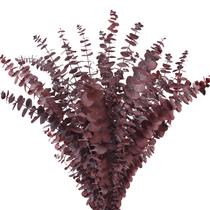 Caules de eucalipto secos HIAGROW Real Red Preserved 20 unidades