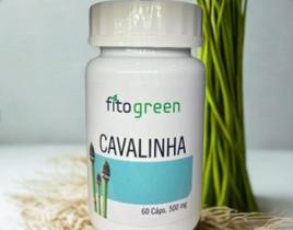 Cavalinha 60cp FitoGreen Suplemento