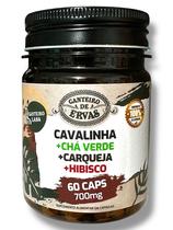 Cavalinha, hibisco, chá verde e Carqueja