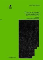 Cavalo-marinho pernambucano