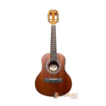 CAVAQUINHO TERRA ACUSTICO FOSCO COM CAPA COR MAHOGANY tcv-01