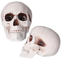 Caveira de Halloween, modelo Sratte, plástico adulto, 20 cm, 2 peças