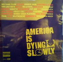 Cd America Is Dying Slowly - Importado 1996 Cd America Is Dying Slowly - Importado 1996