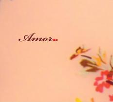 Cd Amor D+ (Kim ,DJ Alpiste ,Rayssa & Ravel ,Nadia Santolli)