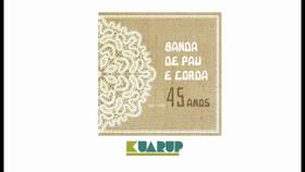 Cd Banda De Pau E Corda - 45 Anos - Ao Vivo