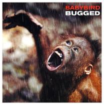 Cd - Bugged / Babybird - Sum