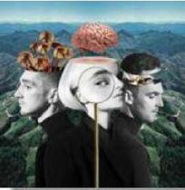 CD Clean Bandit What Is Love - Warner Music