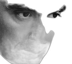 Cd David Byrne Grown Backwards