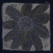 CD de áudio Florist Double Double Whammy CD de áudio Florist Double Double Whammy