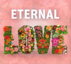 CD Digipack Eternal Love - Sucessos Românticos Eternos - TOP DISC