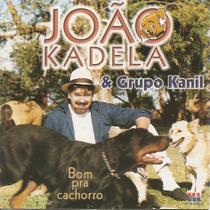 Cd - João Kadela & Grupo Kanil - Bom Pra Cachorro - Usa Discos