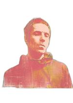 Cd Liam Gallagher - Why Me Why Not Rock Sucesso