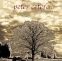 Cd - Peter Cetera / Another Perfect World - Sum
