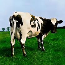 Cd pink floyd - atom heart mother Cd pink floyd - atom heart mother