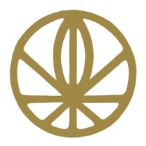 CD Relayted Gayngs CD Relayted Gayngs