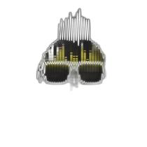 Cd Sean Paul - Full Frequency