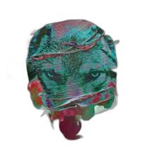 Cd Stereophonics - Scream Above The Sounds