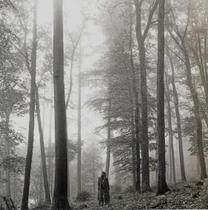 Cd taylor swift - 1. the "in the trees" edition deluxe