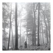 Cd Taylor Swift Folklore 1 The In The Trees - Lacrado