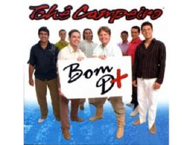 Cd - Tchê Campeiro - Bom D+