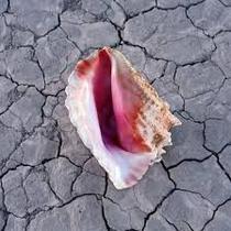 CD The Killers - Wonderful Wonderful (2017) Deluxe CD The Killers - Wonderful Wonderful (2017) Deluxe