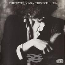 CD The Waterboys This Is The Sea (Importado) - Chrysalis