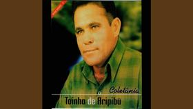 Cd toinho de aripibu - 60 mais 3cds