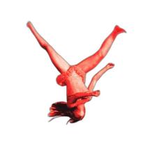 Cd Vertical Horizon - Everything You Want (1999)