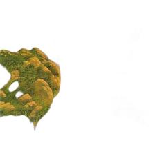 CD yes - Progeny Highlights from Seventy-Two (2 C Ds)