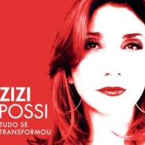 Cd Zizi Possi Tudo se Transformou - Lacrado