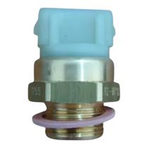 Cebolão do radiador Gol Logus Saveiro Parati Escort