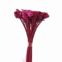 Cebolão Pink Desidratado Cebolão Pink Desidratado