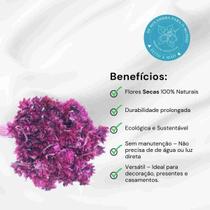 Cebolão Rosa Desidratado Cebolão Rosa Desidratado