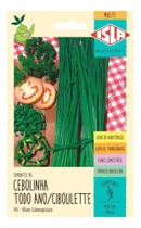 Cebolinha de Tempero Todo Ano Ciboulette - 500mg de Sementes Cebolinha de Tempero Todo Ano Ciboulette - 500mg de Sementes