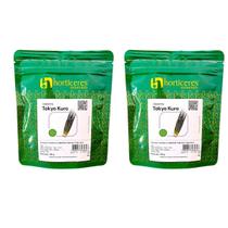 Cebolinha Japonesa Horticeres 200g Resistente a Doenças Foliares Cebolinha Japonesa Horticeres 200g Resistente a Doenças Foliares